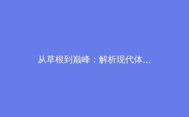 从草根到巅峰：解析现代体育人才培养体系的变革与挑战 - 2